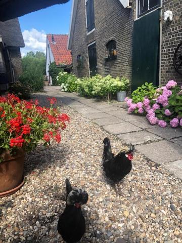 B&B De Beijersche Stee, Logies Aan De Waterkant Stolwijk 外观 照片